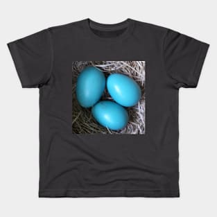 Robin Blue Eggs in Nest Kids T-Shirt